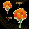 Poke Art Marigold Flower