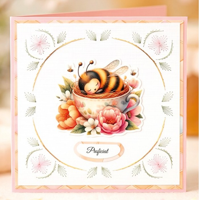 SET Hobbyjournaal 255 - DDDC1224 - Red Roses
