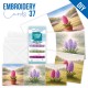 Stitch and Do Cards 37 - Spring Hyacinth