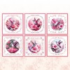 Stitch and Do Special set 1 - Hummingbird Fantasy - MEGA PAKKET