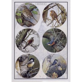 Cutting Sheet - WOC - nr 40 - Woodland Birds