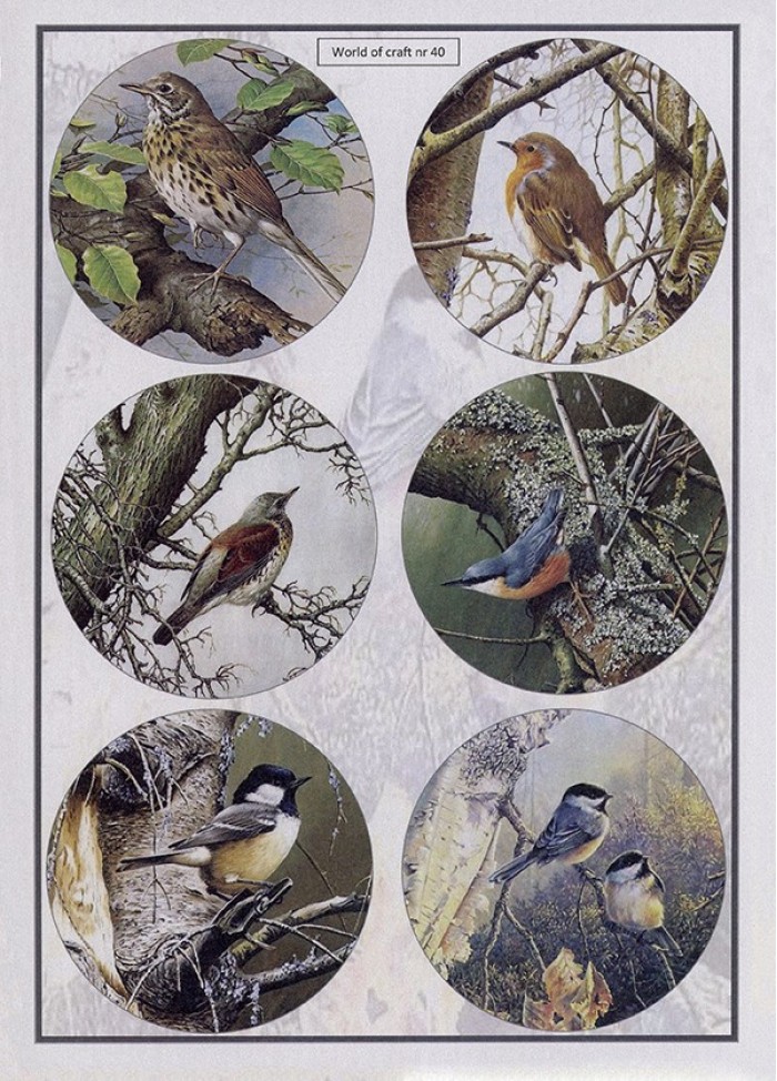 Cutting Sheet - WOC - nr 40 - Woodland Birds