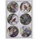 Cutting Sheet - WOC - nr 40 - Woodland Birds