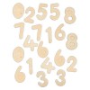 Wooden Numbers (20pcs) - Natural