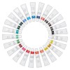 Acrylic Paint Set (24pk) - 12ml