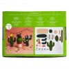 Vilten Cactus - Set van 3