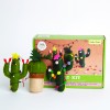 Vilten Cactus - Set van 3
