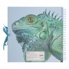 12" plakboek - Leguaan