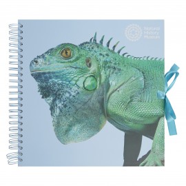 12" plakboek - Leguaan
