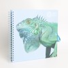 12" plakboek - Leguaan