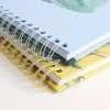 12" plakboek - Leguaan