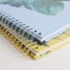 12" plakboek - Flock