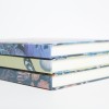 Schetsboek - Schelpen