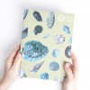 Schetsboek - Schelpen