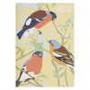 Schetsboek 3-pack - Britse vogels