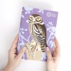 Schetsboek 3-pack - Britse vogels