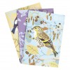 Schetsboek 3-pack - Britse vogels