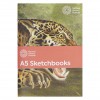 Schetsboek 3-pack - Grote katachtigen