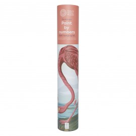 Schilderen op nummer - Flamingo