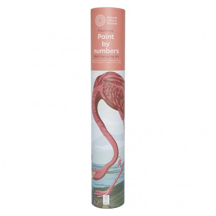 Schilderen op nummer - Flamingo
