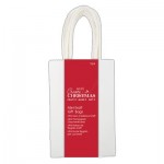 Create Christmas Mini Kraft Gift Bags (5pk) - White Kraft
