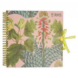 30 x 30cm Plakboek  - Succulents