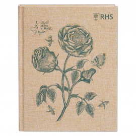 Schetsboek -  Roos