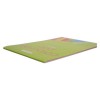 Stephens Coloured Pad A3 100gsm 20 Sheets