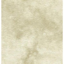 Craft Paper Card & Foil