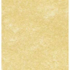 Parchment Paper A4 100gsm 25 sheets Vellum