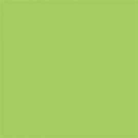 A4 Pastel Paper 80gsm 25 Sheets Lime Green