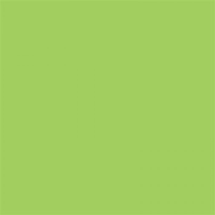 A4 Pastel Paper 80gsm 25 Sheets Lime Green