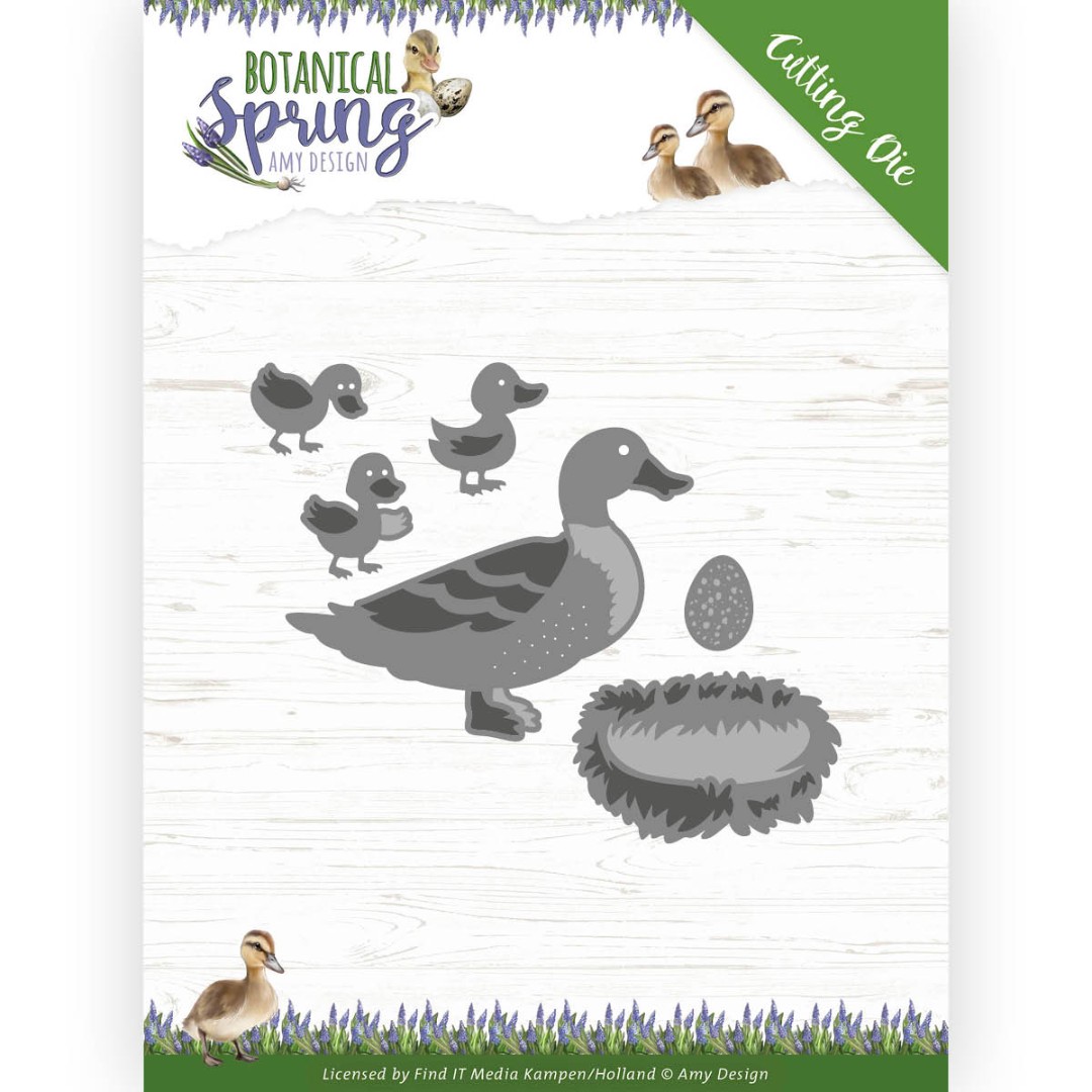 Botanical Spring Cutting Die by Amy Design Botanical Spring Cutting Die by Amy Design