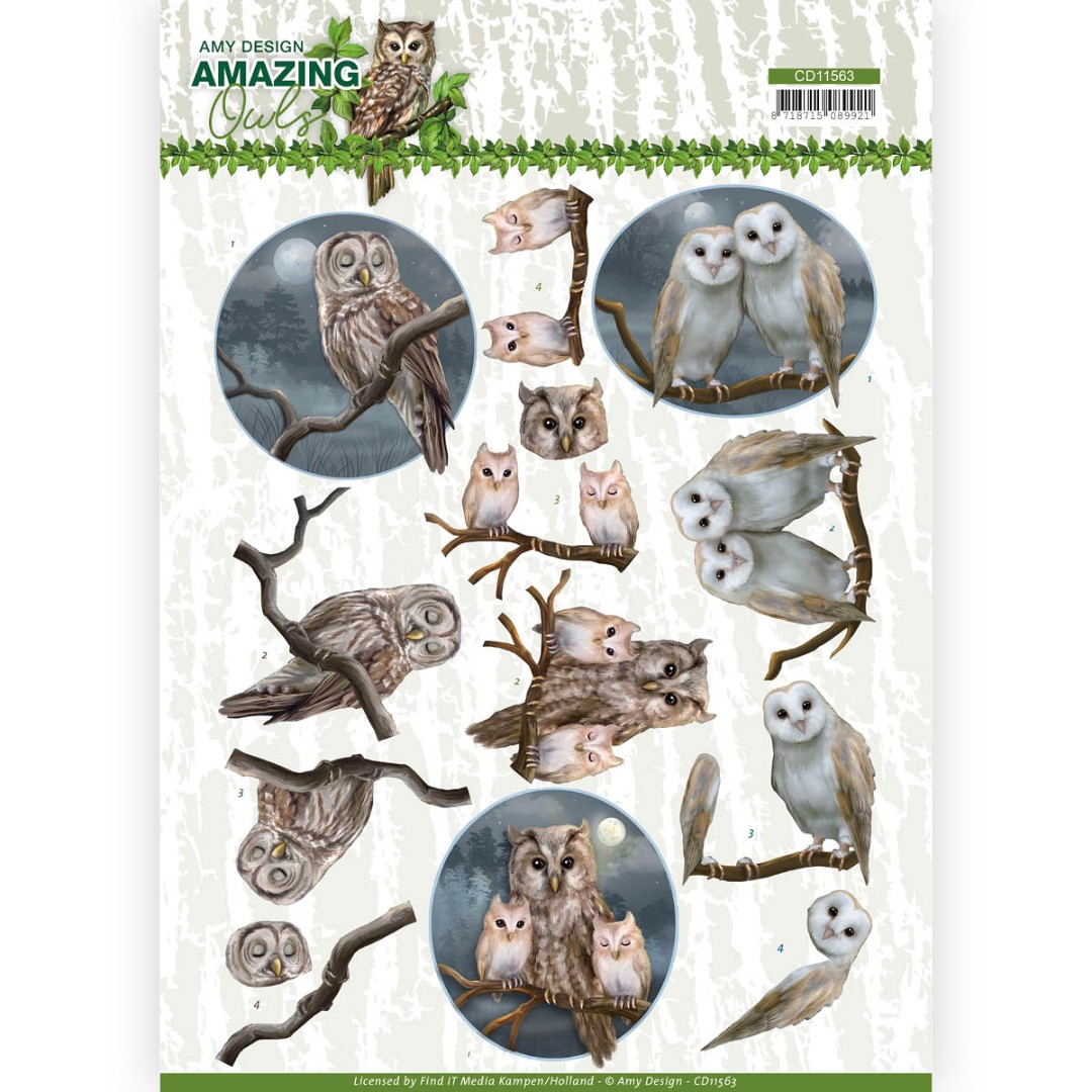 Night Owls Amazing Owls 3D Cutting Sheet by Amy Design Night Owls Amazing Owls 3D Cutting Sheet by Amy Design