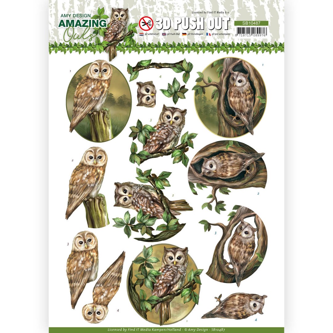 Forest Owls Amazing Owls 3D Push Out by Amy Design