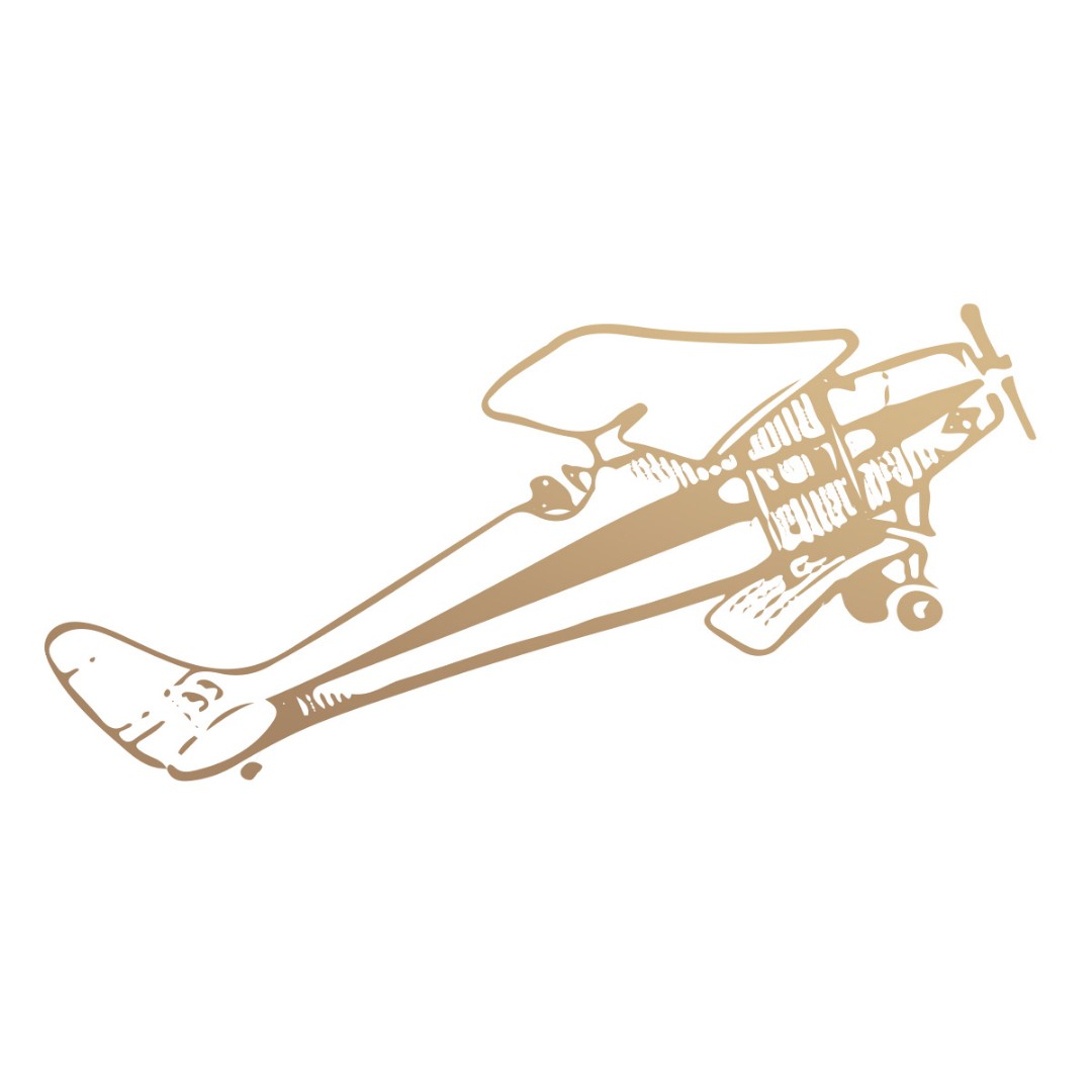 Biplane Mini Stamp (1pc) Biplane Mini Stamp (1pc)