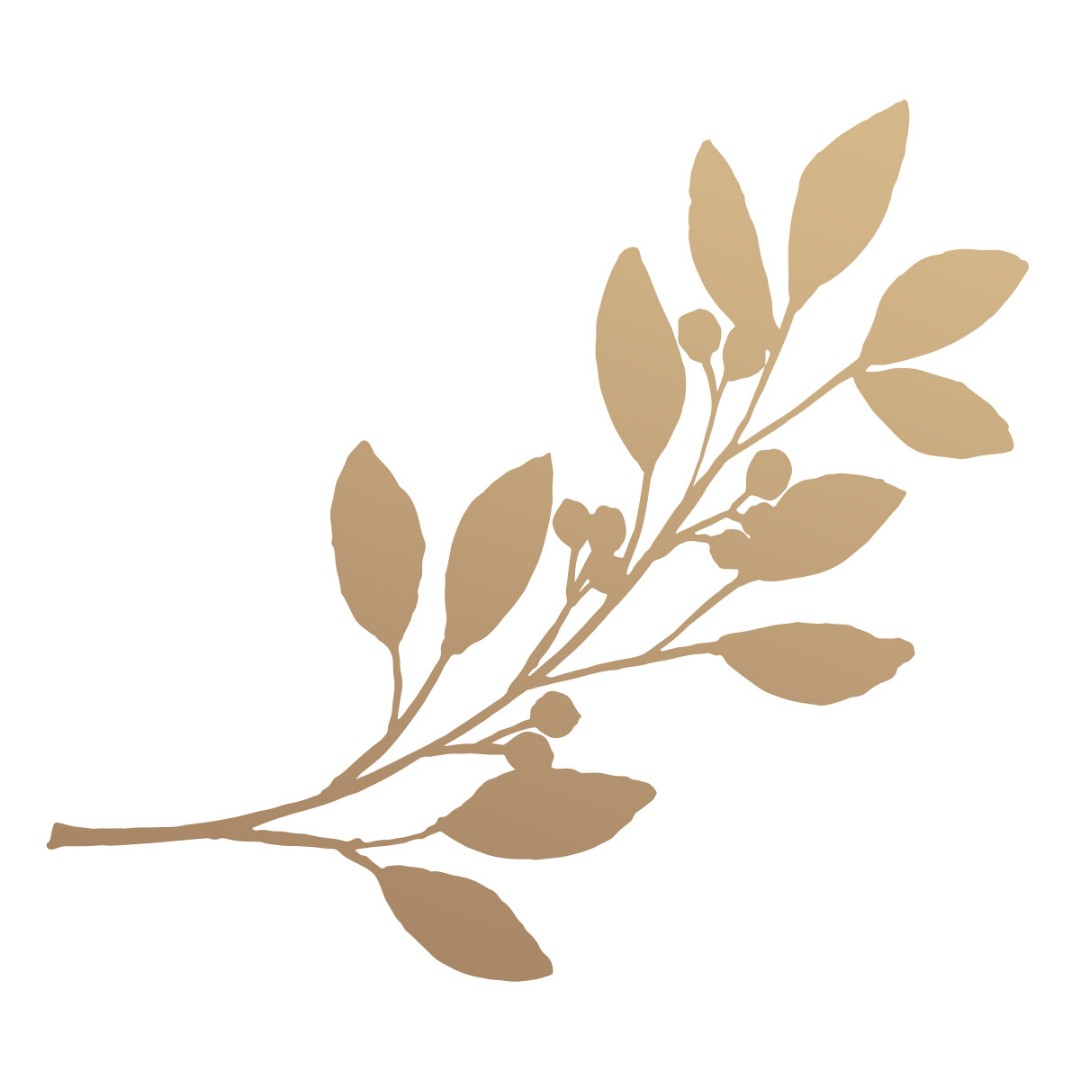 Olive Branch Mini Stamp (1pc) Olive Branch Mini Stamp (1pc)