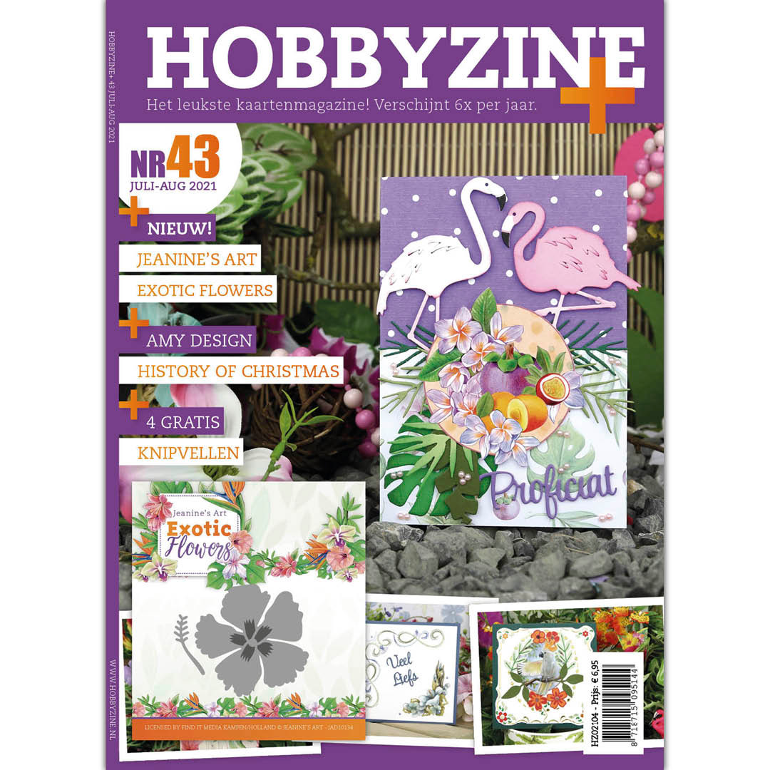 Nr. 43 Hobbyzine Plus Nr. 43 Hobbyzine Plus