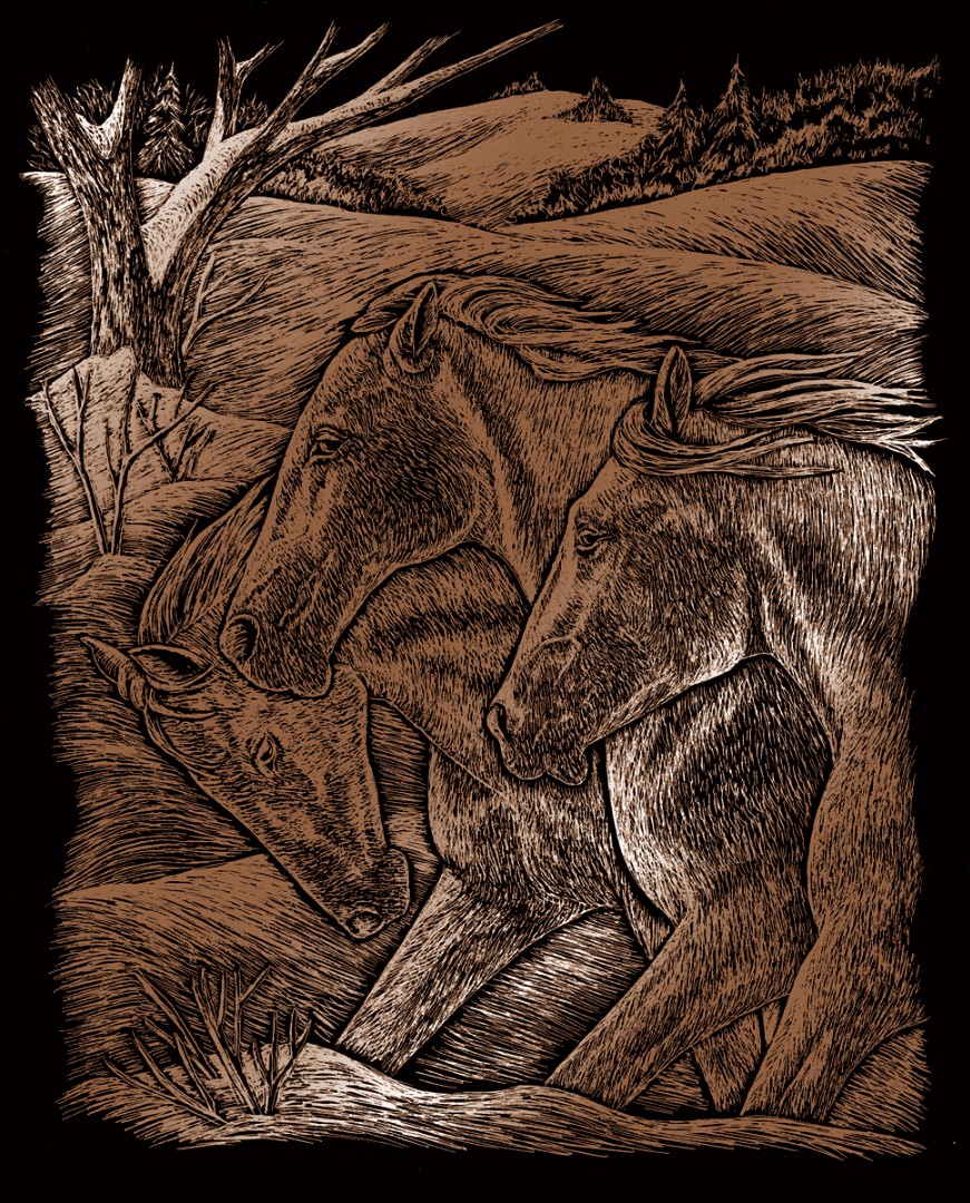 HORSE TRIO Copper Engraving Art HORSE TRIO Copper Engraving Art