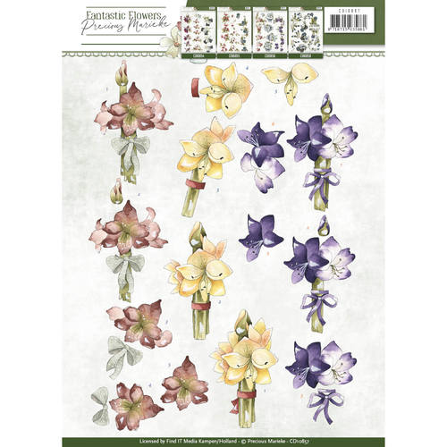 Amaryllis Fantastic Flowers 3D-Knipvel Precious Marieke Amaryllis Fantastic Flowers 3D-Knipvel Precious Marieke