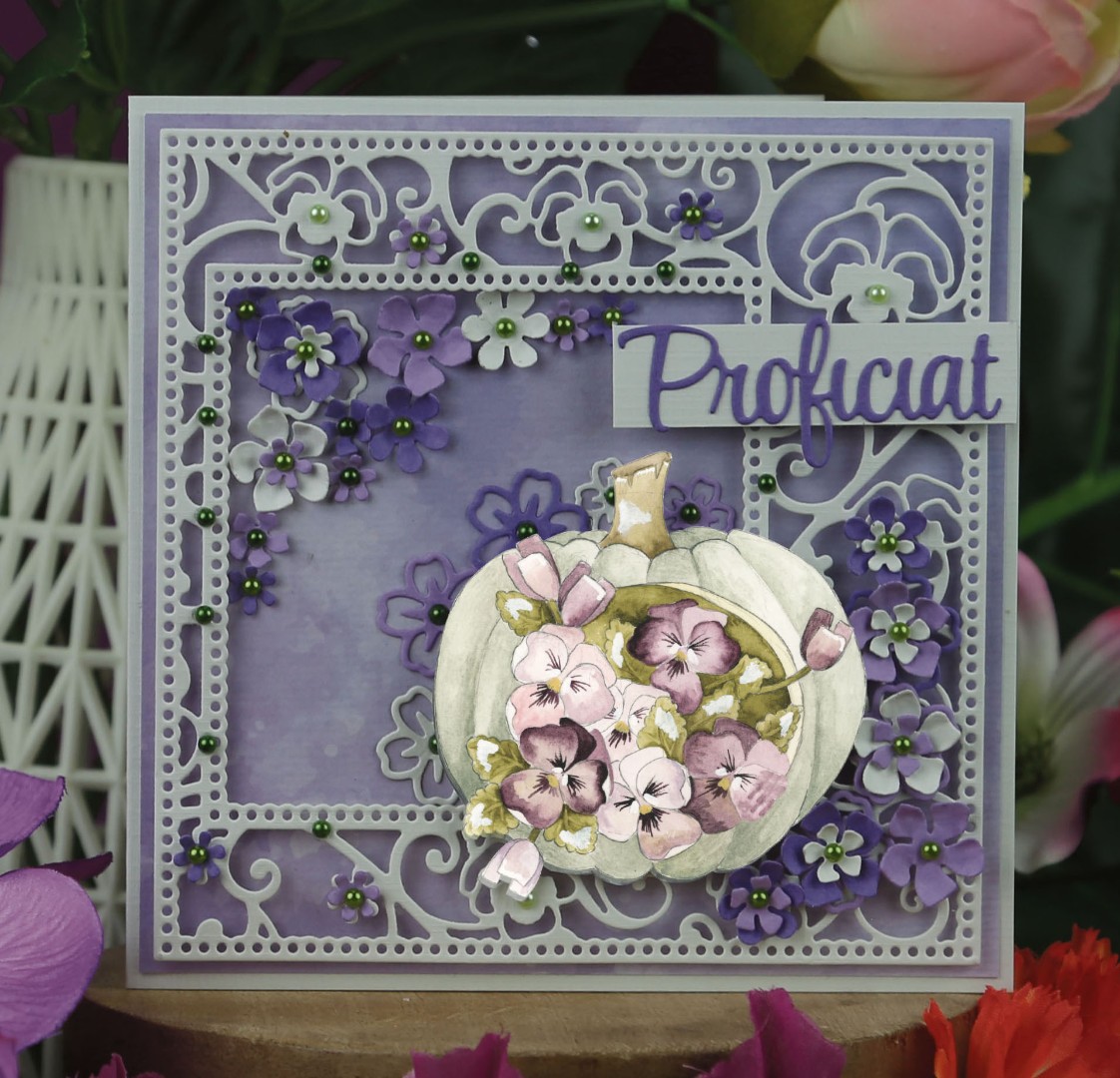 Dies - Precious Marieke - Purple Passion - Passion Square