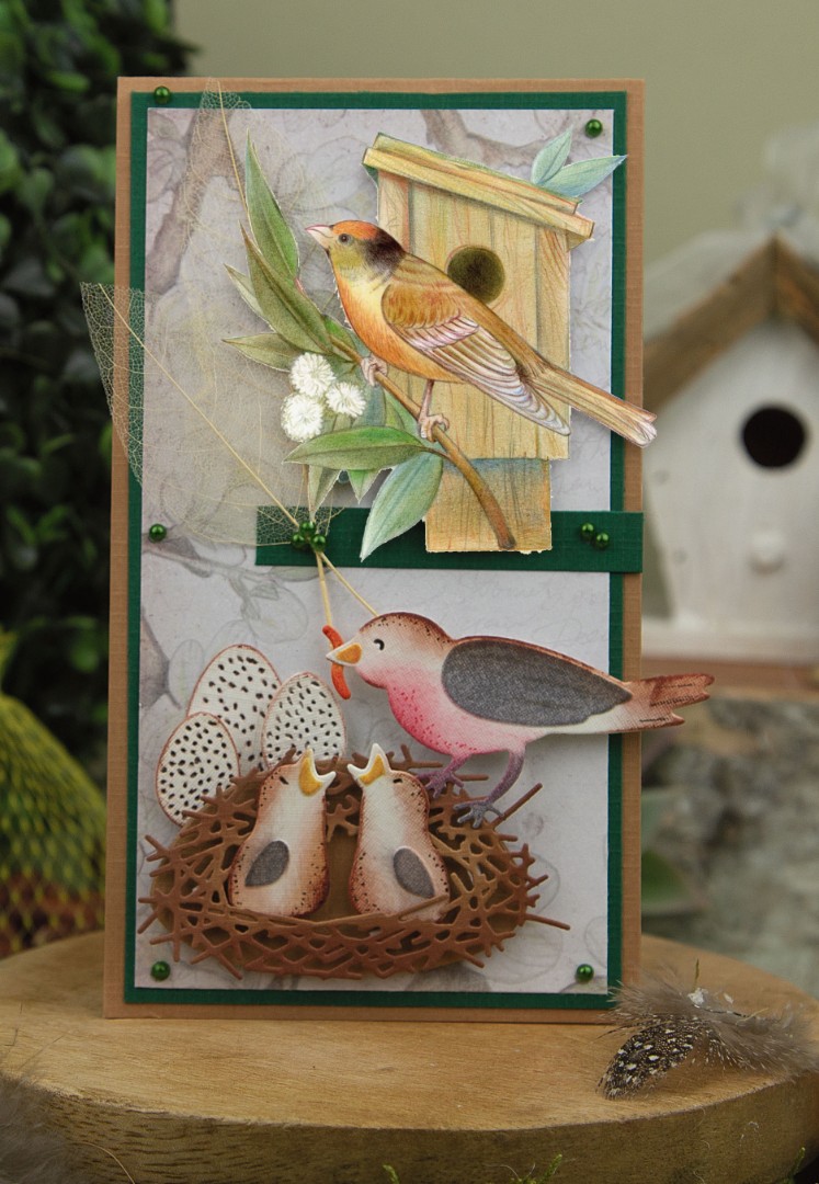 3D Cutting Sheets - Jeanine's Art - Vintage Birds - Wooden Birdhouse