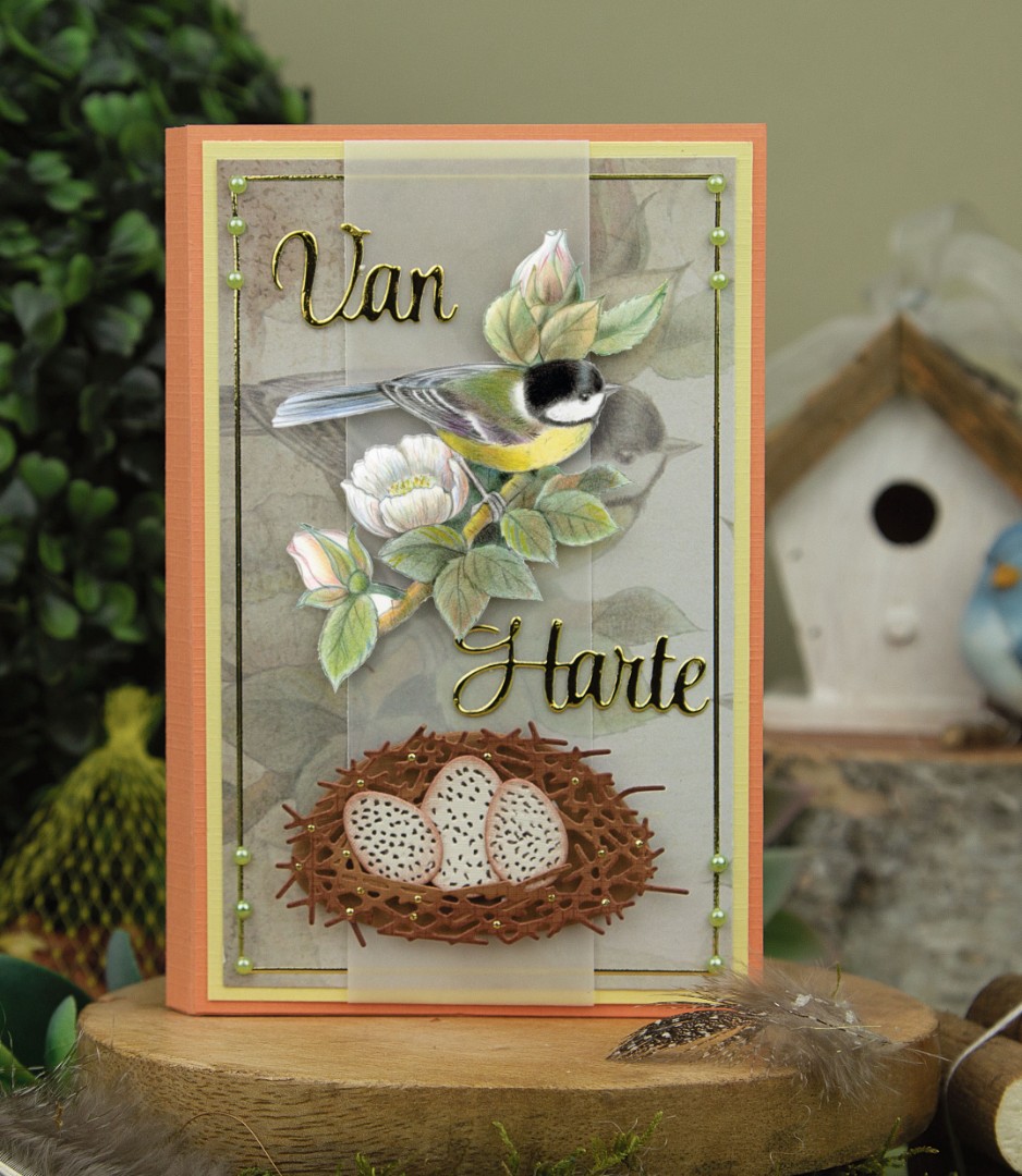 3D Push Out - Jeanine's Art - Vintage Birds - Birdcage