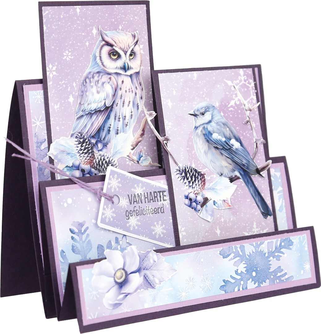 3D Cutting Sheets - Berries Beauties - Mystic Winter - Mystic Birds