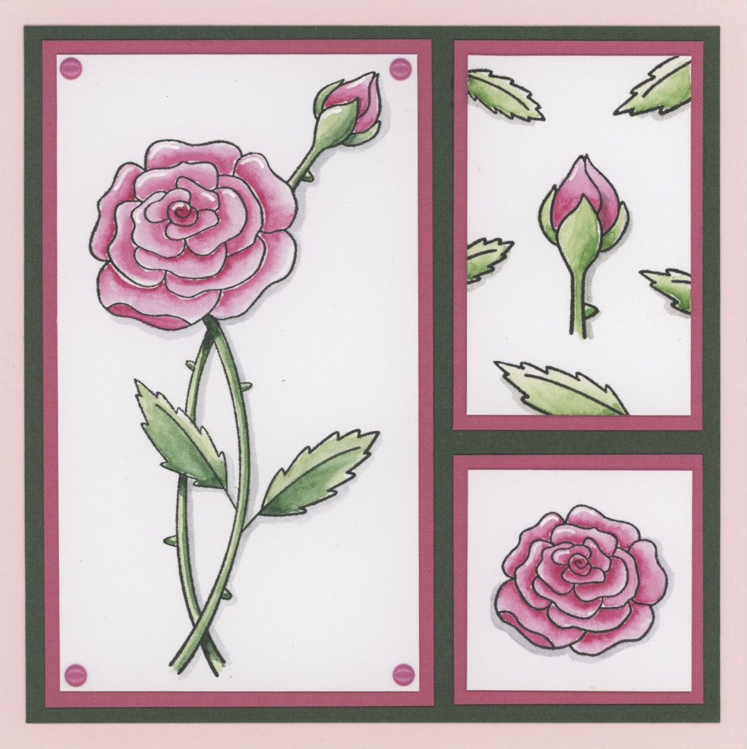 Clear Stamps - Amy Design - Pink Florals - Rose