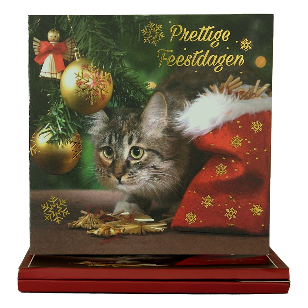 World of Craft - Set van 8 Kerstkaarten en Enveloppen met Nederlandse teksten Box 1 World of Craft - Set van 8 Kerstkaarten en Enveloppen met Nederlandse teksten Box 1