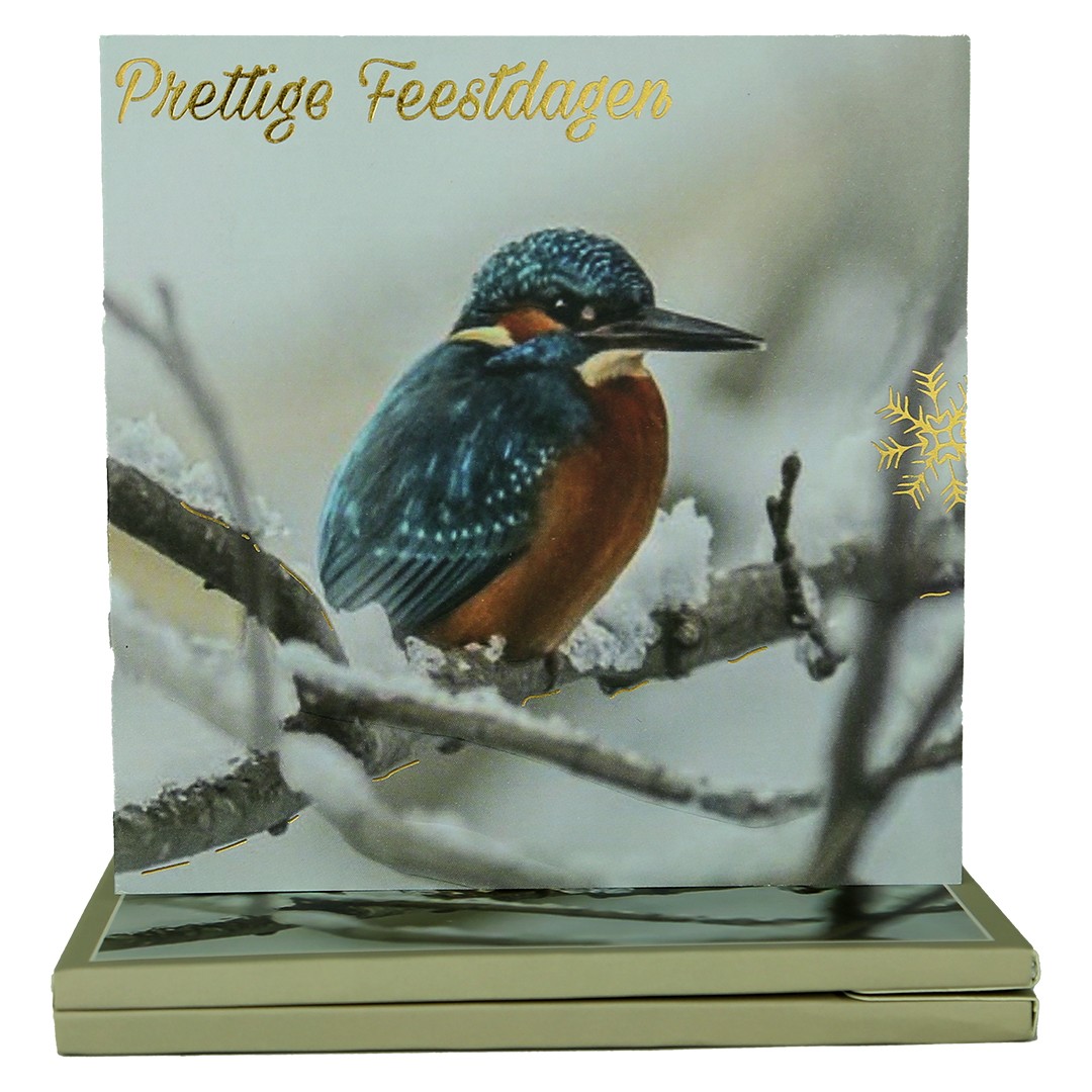 World of Craft - Set van 8 Kerstkaarten en Enveloppen met Nederlandse teksten Box 2 World of Craft - Set van 8 Kerstkaarten en Enveloppen met Nederlandse teksten Box 2