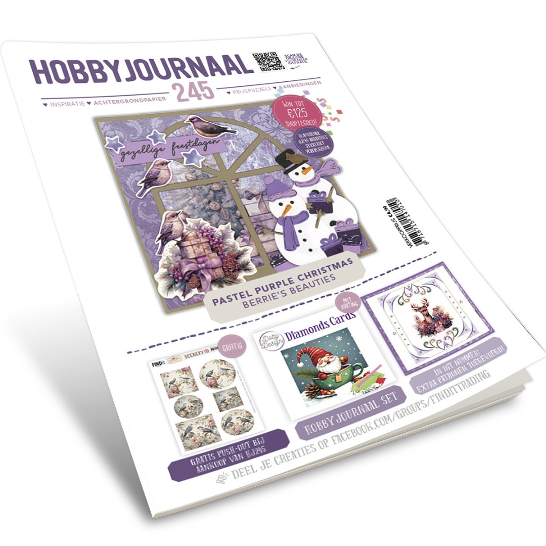 Hobbyjournaal 245
