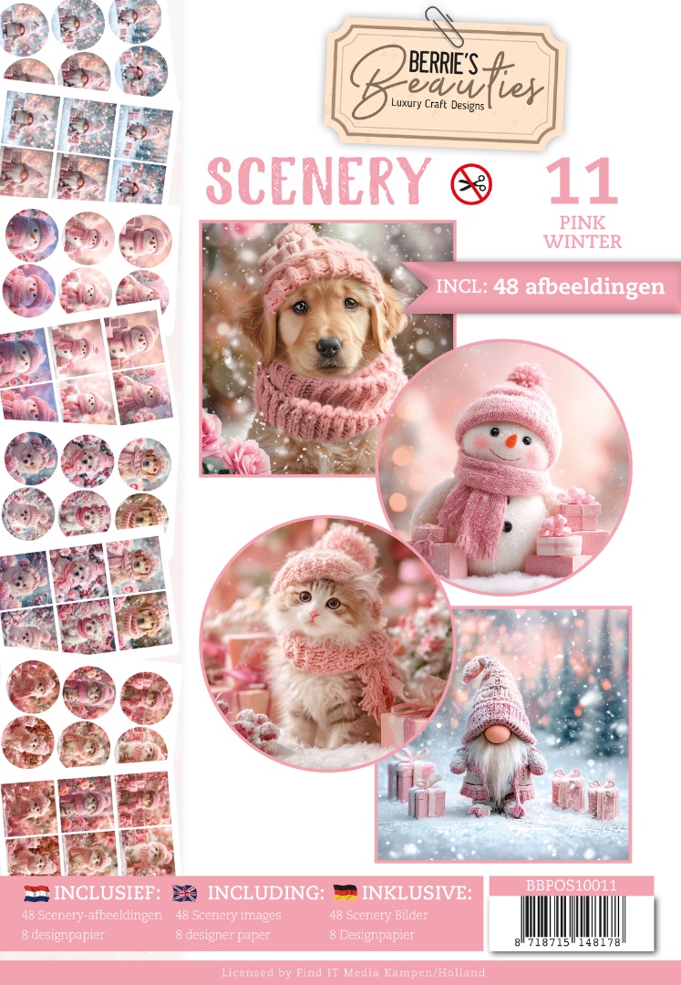 Push-Out Book Scenery 11
