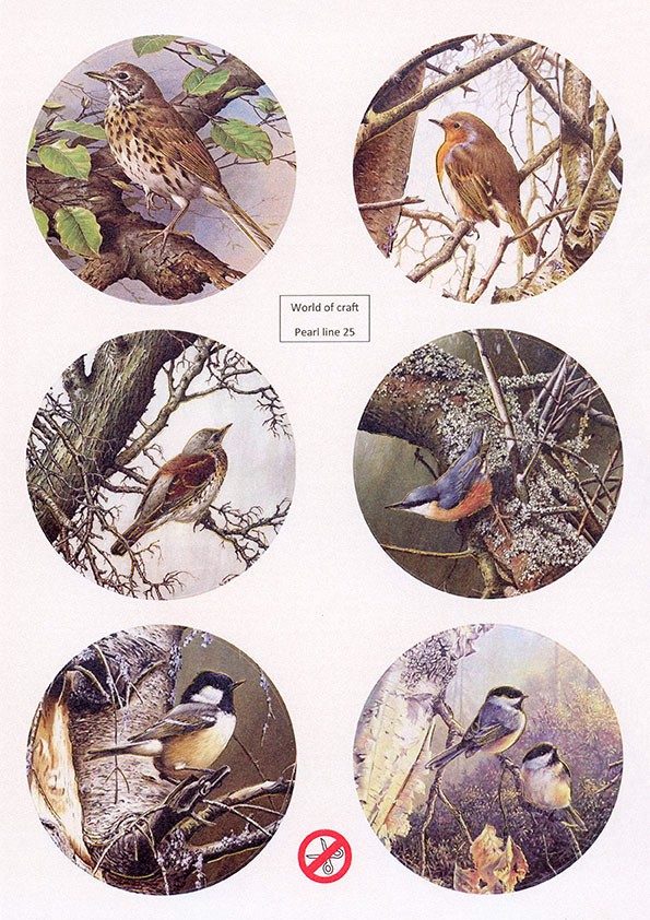 Scenery Parelmoer - WOC - nr25 - Birds - Round